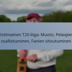 Kotimainen T20-liiga: Muoto, Pelaajien osallistuminen, Fanien sitoutuminen