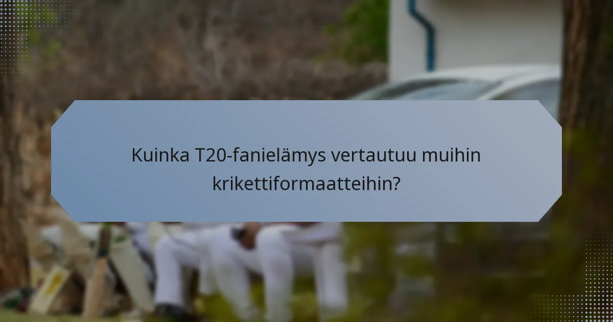 Kuinka T20-fanielämys vertautuu muihin krikettiformaatteihin?